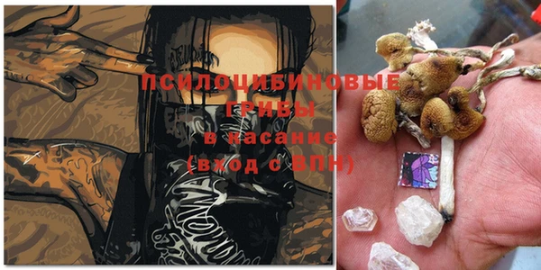 не бодяженный Карпинск